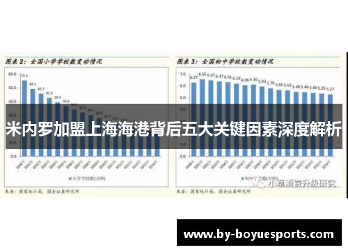米内罗加盟上海海港背后五大关键因素深度解析