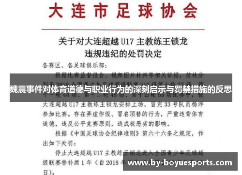 魏震事件对体育道德与职业行为的深刻启示与罚禁措施的反思