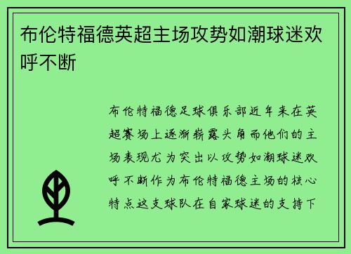 布伦特福德英超主场攻势如潮球迷欢呼不断
